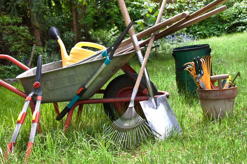 entretien jardin taille de haie tonte de pelouse gazon feuille morte