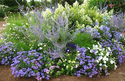 massif fleurs vivaces, massif fleurs sans entretien, massif fleurs facile, massif fleuri toute l'année, massif fleurs annuelles